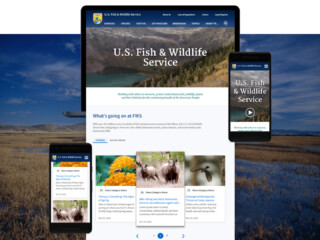 Redesigned U.S. Fish and Wildlife website now using a single CMS, design library and process creation system