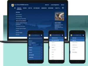 Desktop and mobile examples of FWS.gov navigation design and structure