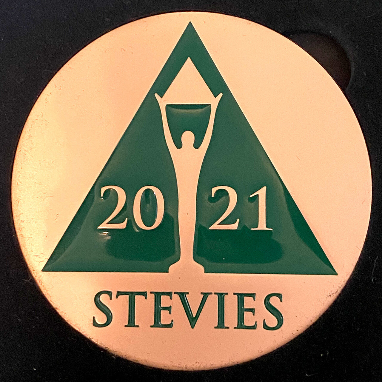 2021 Bronze Stevie Women in Business Thought Leader Award